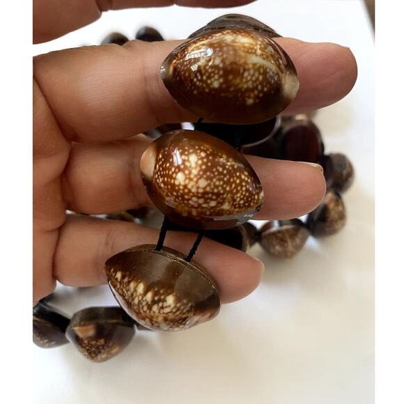 Coastal Seashell Napkin Ring/Holders Neutral Colors Lot/Bundle of 6 - Picture 2 of 5